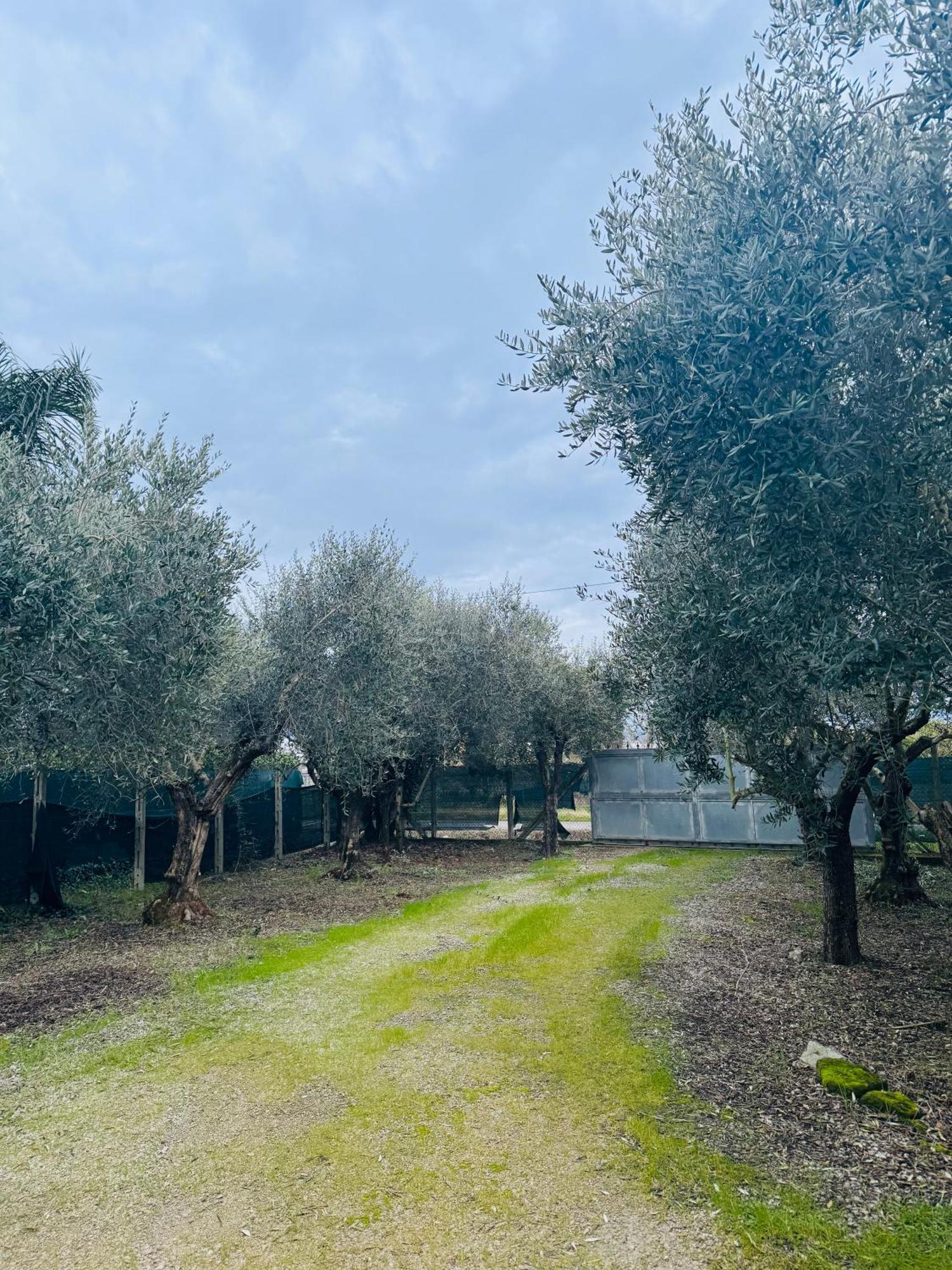 La Perla Di Dea Villa Lido Di Fondi Buitenkant foto